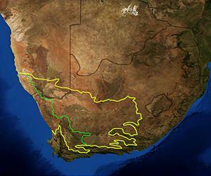 S. African official mulls support for shale gas exploration