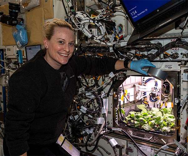 Rad dishes in space
