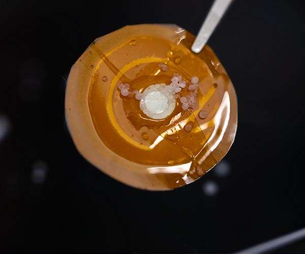 Taking salt out of the water equation
