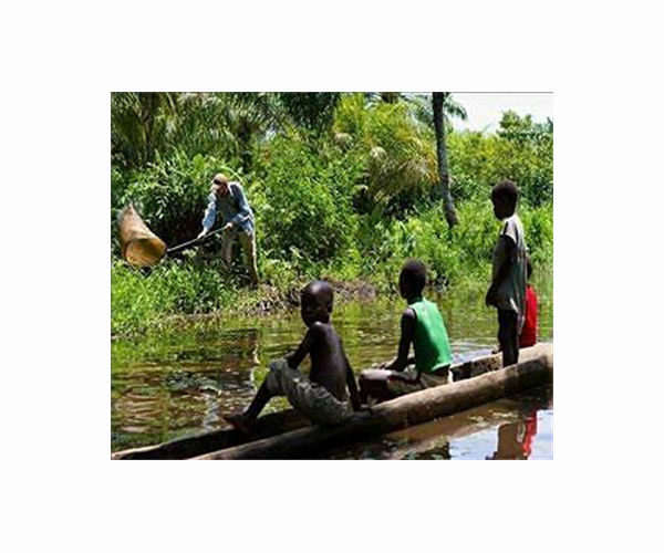 Away from the world, the mangrove fishers of DR Congo
