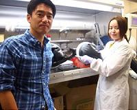 Next-gen illumination using silicon quantum dot-based white-blue LED