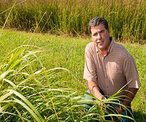 5-10 percent corn yield jump using erosion-slowing cover crops