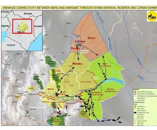 Transforming nature conservation with the power of satellite imagery