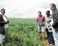 FAO says Africa needs massive water investment