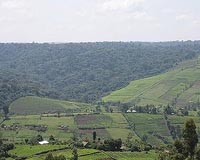 A struggle for land and survival in Kenya's restive highlands