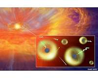 Fusion science and astronomy collaboration enables investigation of the origin of heavy elements