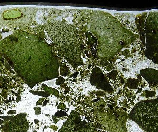 Traces of life in the Earth's deep mantle