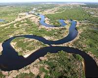 Nanoparticles remove cadmium toxicity from a freshwater system
