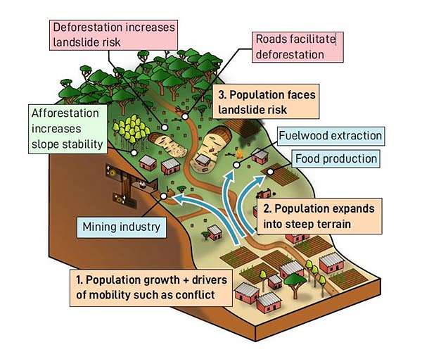 Landslide disaster risk in the Kivu Rift is linked to deforestation and population growth