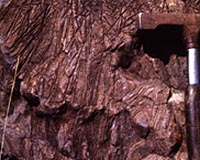 Extraterrestrial Platinum Was Stirred Into The Earth