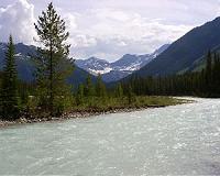 Researchers discover 'epic' new Burgess Shale site in Canada