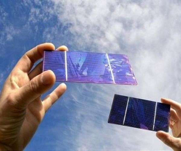 Buried interface engineering drives advances in tin-lead perovskite solar cell efficiency