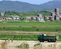 N. Korea food production could drop 14%: FAO