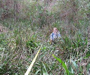 Global Plant Diversity Hinges on Local Battles Against Invasive Species