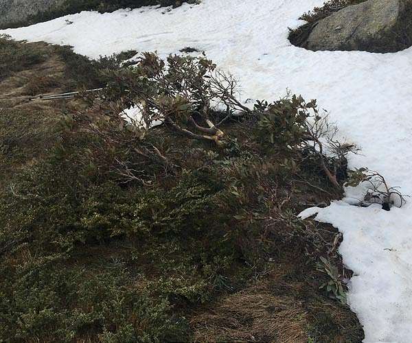 Atmospheric rivers may hasten Australia's snow melt
