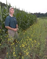 Brownfields May Turn Green With Help From Michigan State Research
