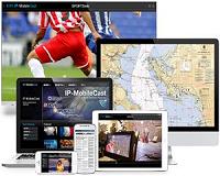 Tablet market ended year on weak note