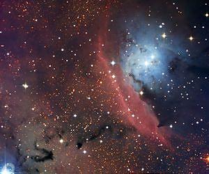 An Anarchic Region of Star Formation