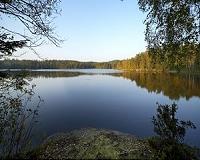 New lake surface temperature database will help to study climate change