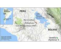 History of early settlement and survival in Andean highlands revealed by ancient genomes