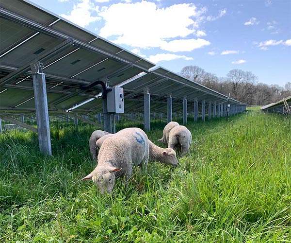 War is speeding Ukraine's green energy shift: CEO