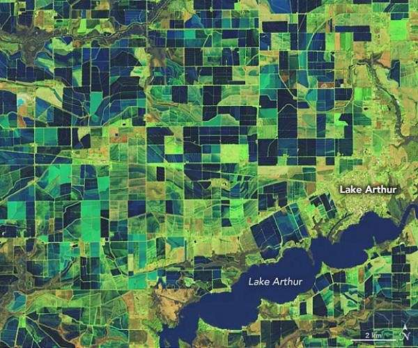 Severe floods threaten global rice yields, study finds
