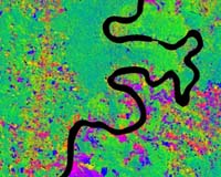 Greatest Value Of Forests Is Sustainable Water Supply