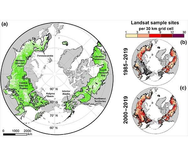 Even modest climate change imperils northern forests: study