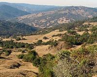 Slowing of landslide flows reflects California's drying climate