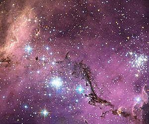 A hidden treasure in the Large Magellanic Cloud
