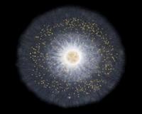 Giant plankton gains long-due attention