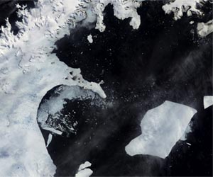 Key ice shelf in Antarctica has shrunk by 85 percent