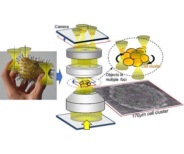 Fingers made of laser light: Controlled grabbing and rotation of biological micro-objects