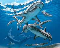 The end-Cretaceous extinction unleashed modern shark diversity