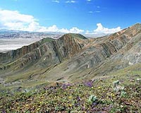 Explosive Growth Of Life On Earth Fueled By Early Greening Of Planet