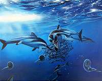 Marine animals have been following their preferred climate for millions of years