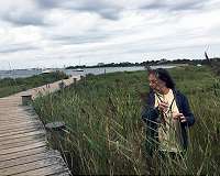 Invasive plants change ecosystems from the bottom up