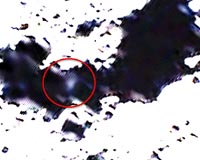 NASA finds water on the moon