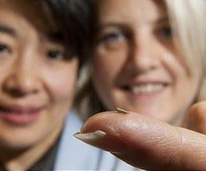 How parasites modify plants to attract insects