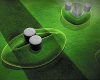 Sensors applied to plant leaves warn of water shortage