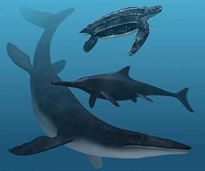 Fossil pigments reveal the colors of ancient sea monsters