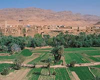 Inmarsat Supports IT Training In Rural Lebanon