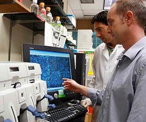 Immune System Compromised During Spaceflight