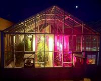 How LED lighting treatments affect greenhouse tomato quality