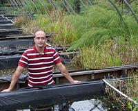 Nanoparticles Accumulate Quickly in Wetland Sediment
