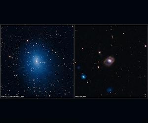 How Often Do Giant Black Holes Become Hyperactive