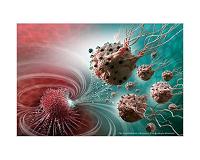 Legions of nanorobots target cancerous tumors with precision