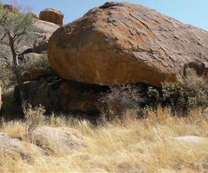 Ancient domesticated remains are oldest in southern Africa