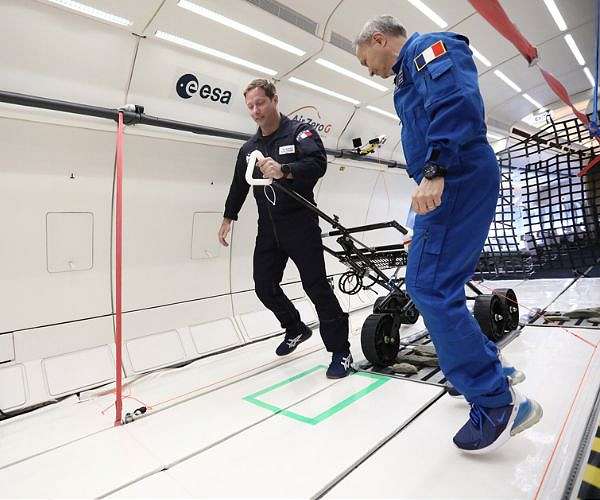 Gravity goes lunar: putting LESA to the test