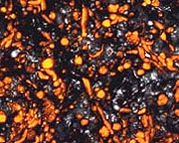 Mechanism To Target Specific Chemical Contaminants Isoloted